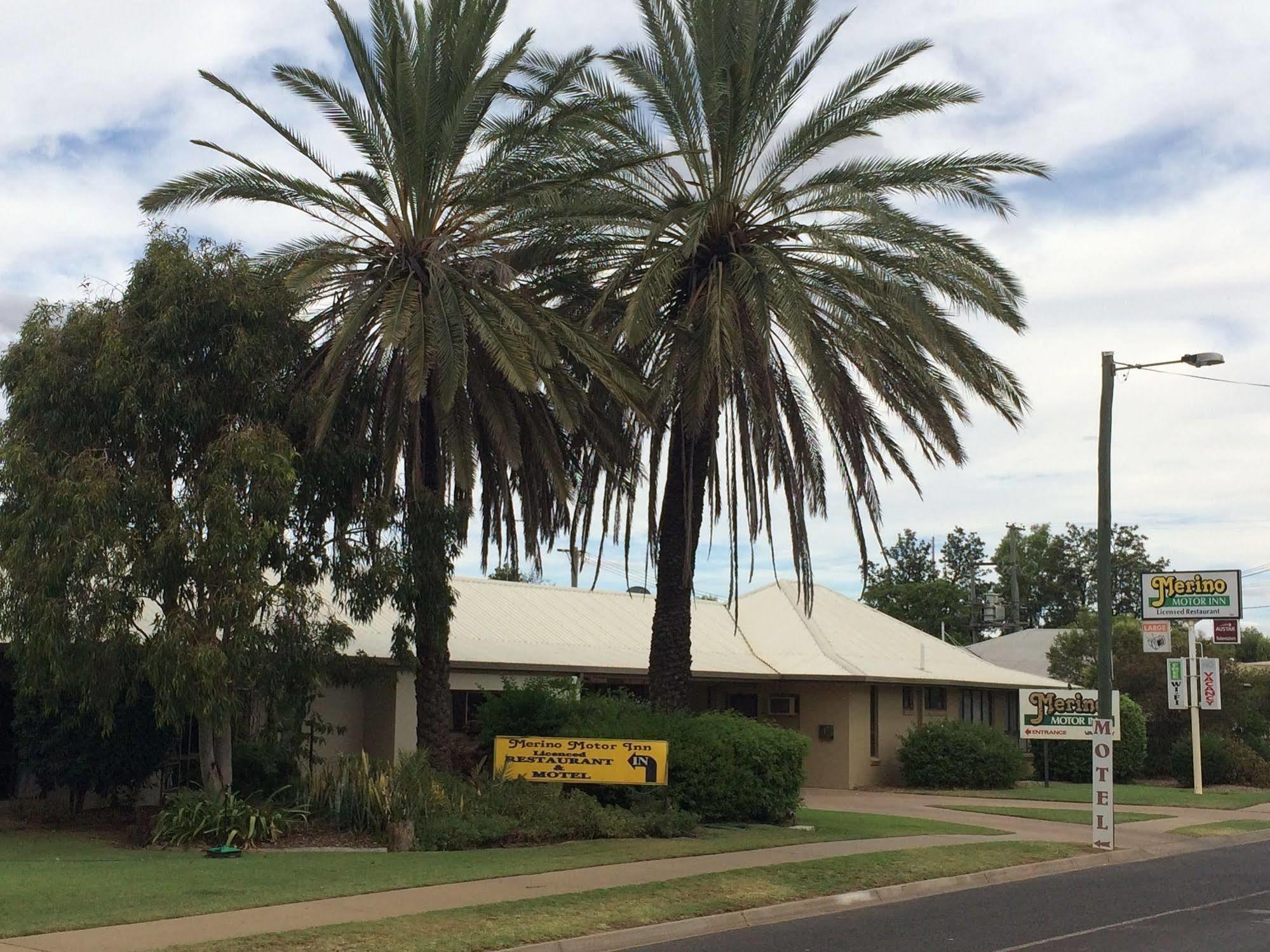 Merino Motor Inn 圣乔治 外观 照片